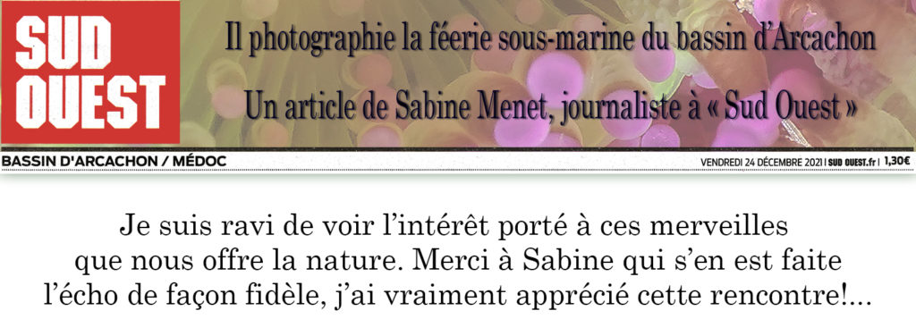 Rencontre avec Sabine Menet