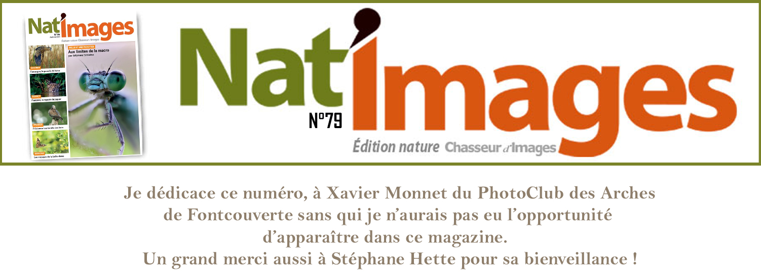 Le résultat de belles rencontres